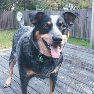 Meet your Posher, Taylor